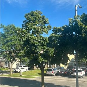 Meet your Posher, Lilly